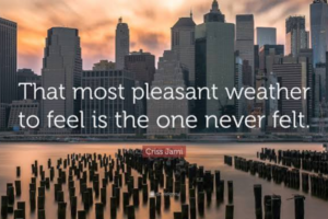 50+ Beautiful Weather Quotes to Brighten Your Day