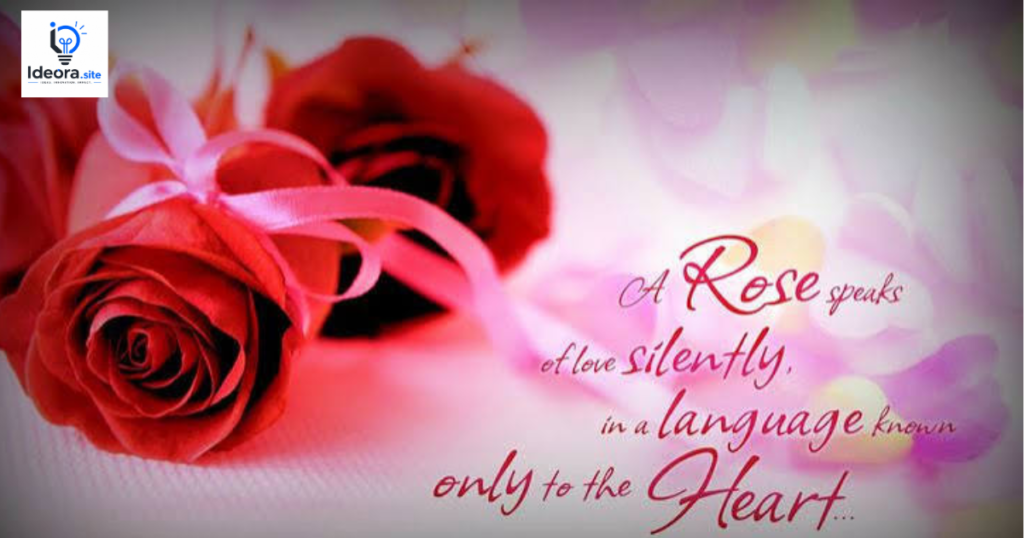 Romantic Rose Love Quotes