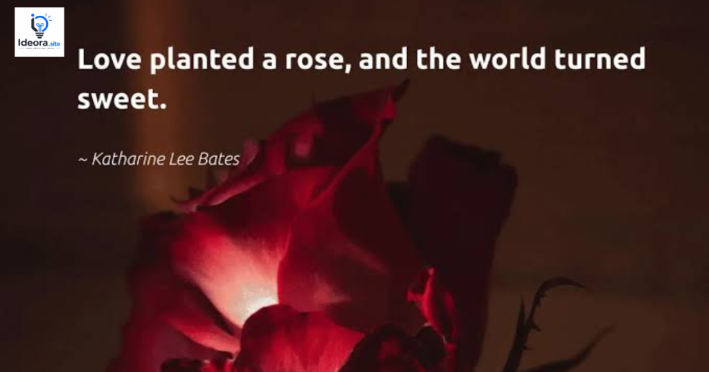 Sweet Rose Love Quotes