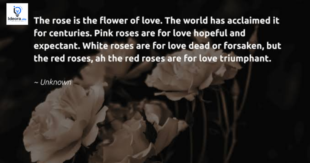 Deep Rose Love Quotes