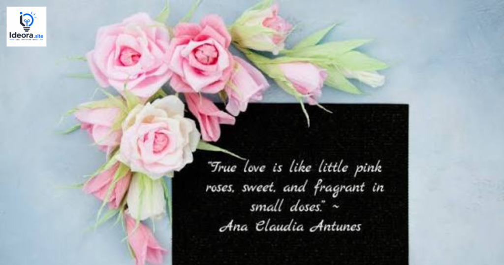 Short Rose Love Quotes