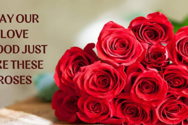 60 Beautiful Rose Love Quotes to Express Your Heart (2026)