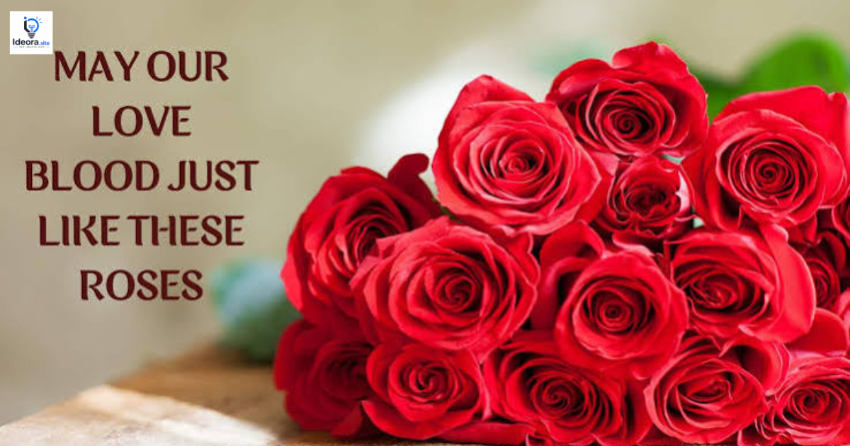 60 Beautiful Rose Love Quotes to Express Your Heart (2026)
